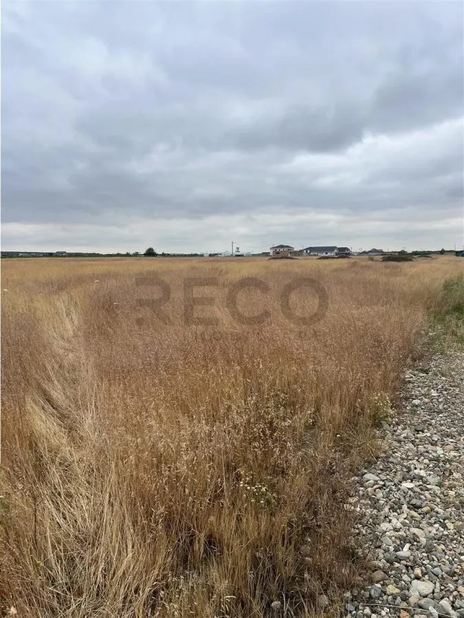RECO teren Cihei - foto 2