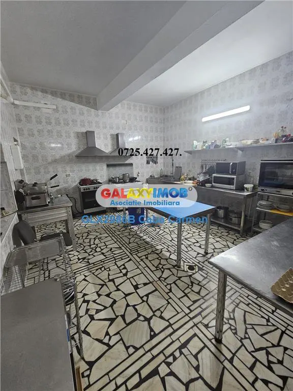 Vanzare Pensiune Solinia+Restaurant+piscina+debarcader-Dunavatu de Jos - foto 19