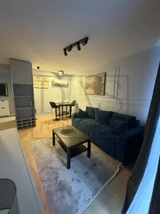 Apartament 2 camere | Herastrau | Aviatiei | Prima inchiriere - Bucuresti