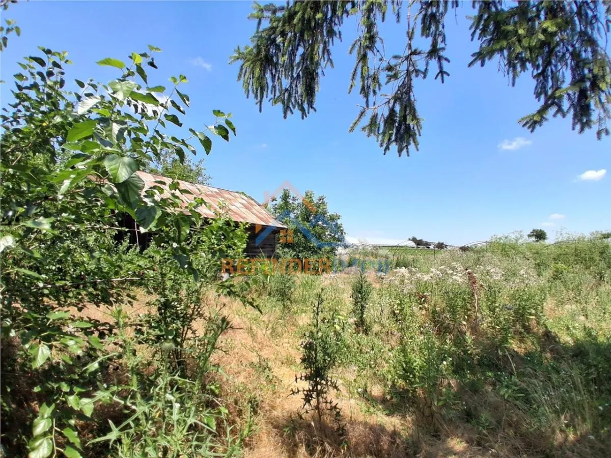 Vanzare teren Ilfov -Vidra / Sintesti / 3524 - foto 3
