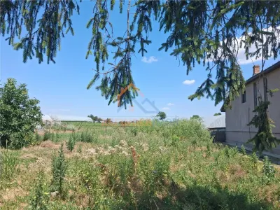 Vanzare teren Ilfov -Vidra / Sintesti / 3524 - foto 4