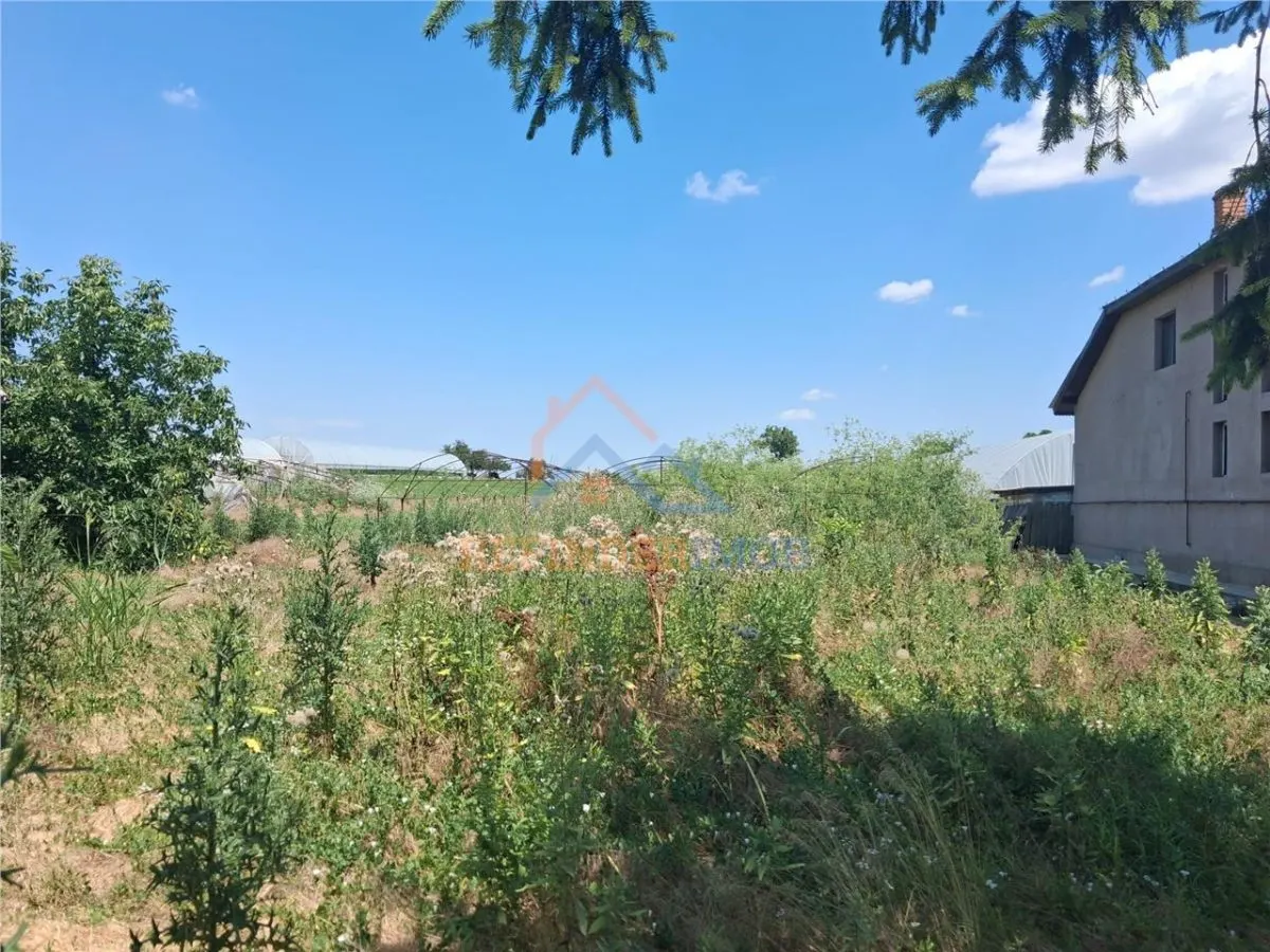 Vanzare teren Ilfov -Vidra / Sintesti / 3524 - foto 6