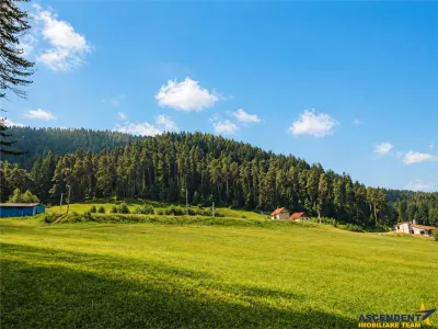 Incantator parc privat, 1.500mp: casa/ pensiune/ refugiu montan, Sacele, Brasov - foto 2