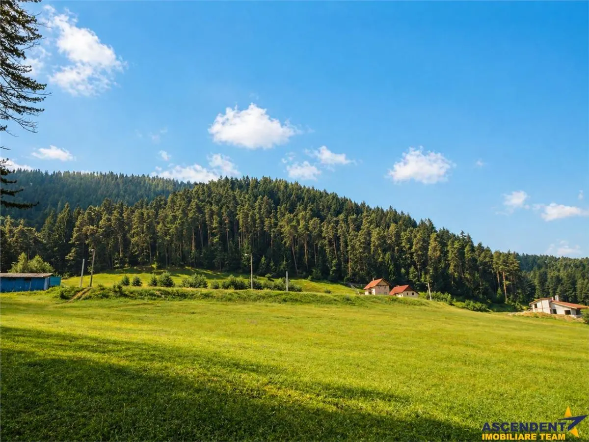 Incantator parc privat, 1.500mp: casa/ pensiune/ refugiu montan, Sacele, Brasov - foto 2