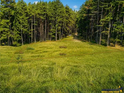 Incantator parc privat, 1.500mp: casa/ pensiune/ refugiu montan, Sacele, Brasov - foto 3