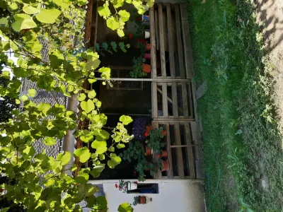 Casa Voila - Teren Generos - foto 2
