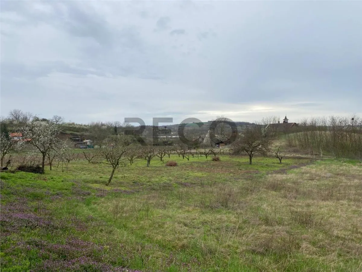 RECO Casa cu 2 camere cu priveliste frumoasa in Diosig - foto 8