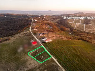 RECO Teren intravilan in Saldabagiu de Munte - foto 2