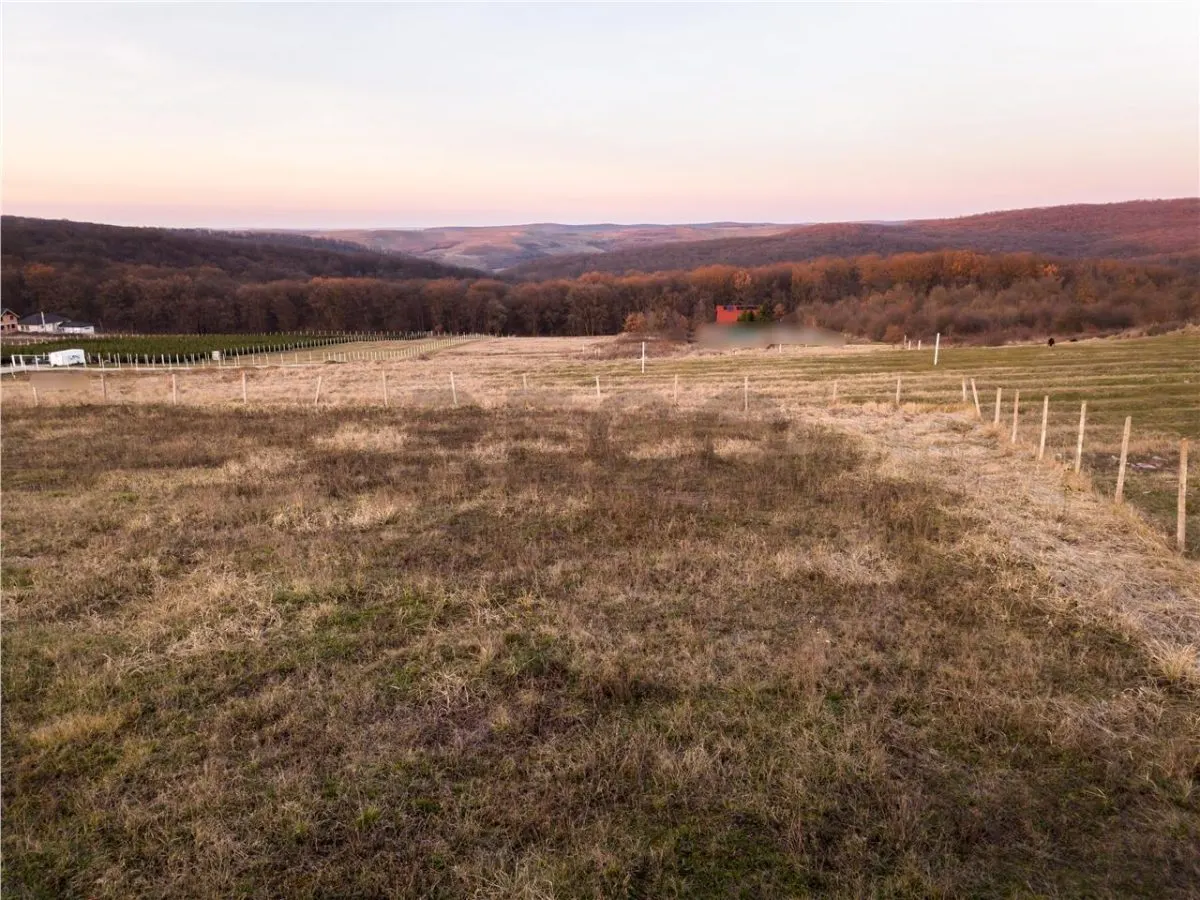 RECO Teren intravilan in Saldabagiu de Munte - foto 12