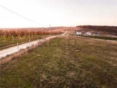 RECO Teren intravilan in Saldabagiu de Munte - foto 14