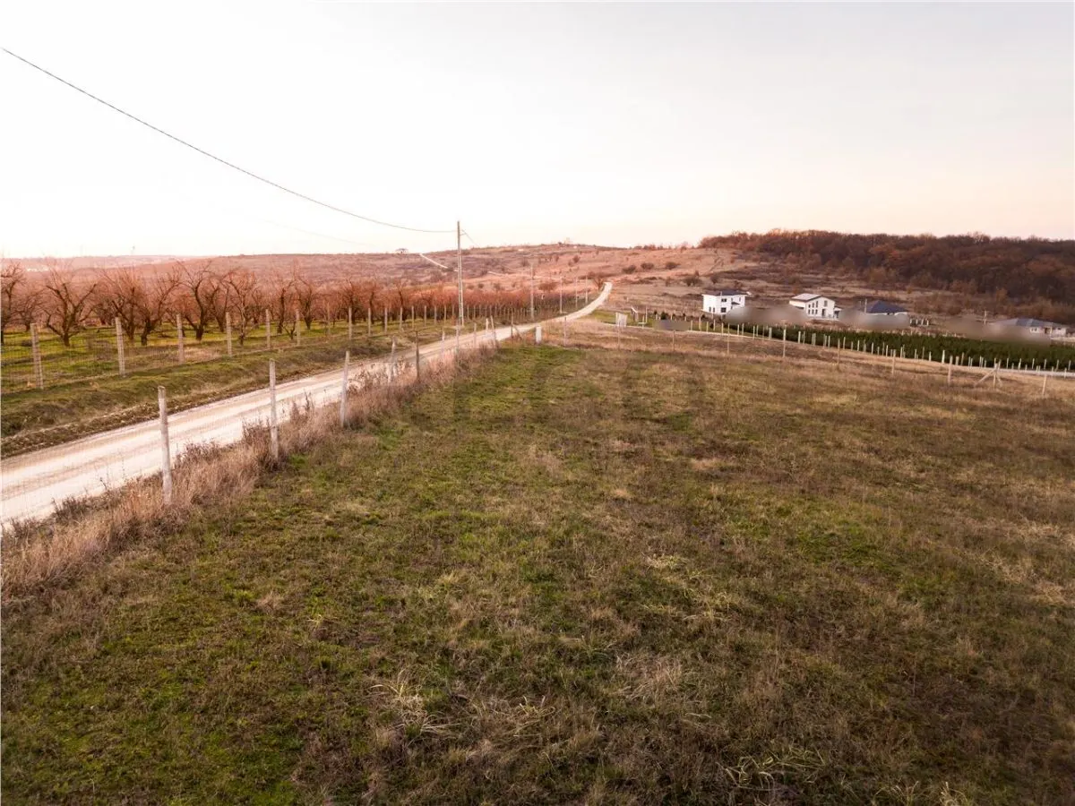 RECO Teren intravilan in Saldabagiu de Munte - foto 14