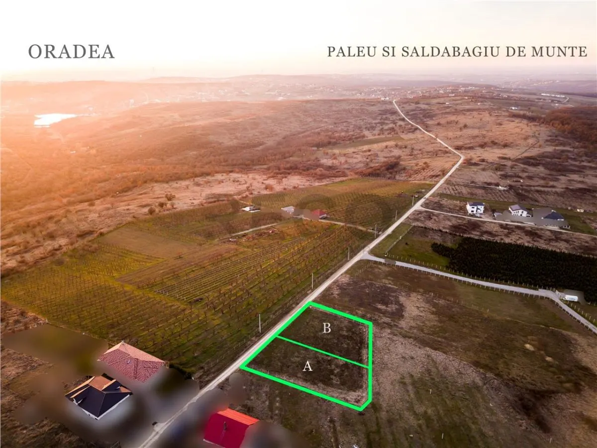 RECO Teren intravilan in Saldabagiu de Munte - foto 6