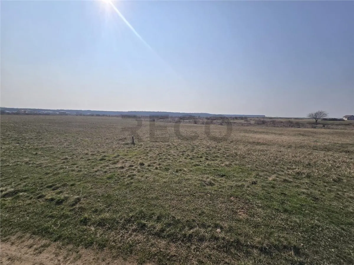 RECO Teren Grigorescu - foto 4