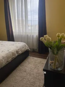 Apartament 3 camere calea Bucuresti - foto 5