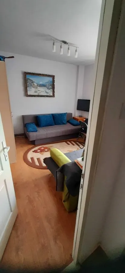 Apartament 2 camere Racadau,decomandat,etajul 1,127000 Euro - foto 7