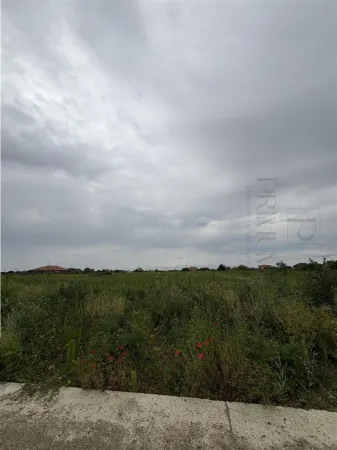 Teren Moșnița Nouă - poza 2
