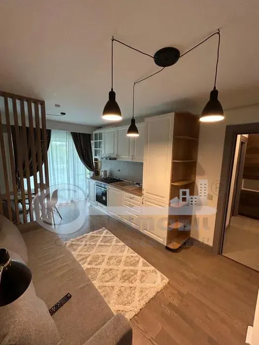 Apartament 2 Camere Open Space cu Parcare Subterană- Complex Himson, Tatarasi - foto 2