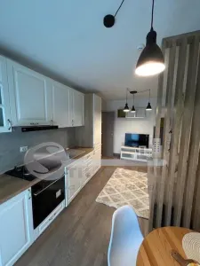 Apartament 2 Camere Open Space cu Parcare Subterană- Complex Himson, Tatarasi - foto 5