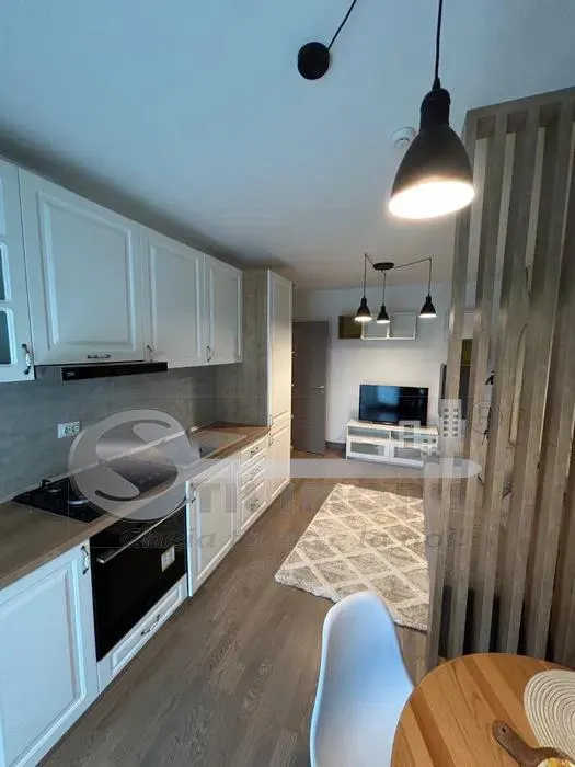 Apartament 2 Camere Open Space cu Parcare Subterană- Complex Himson, Tatarasi - foto 5