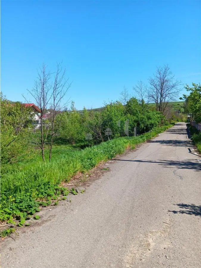 Doar 27e/mp!  Vorovesti TEREN 1787mp  toate utilitatile cu acces doua strazi asfaltate - foto 3