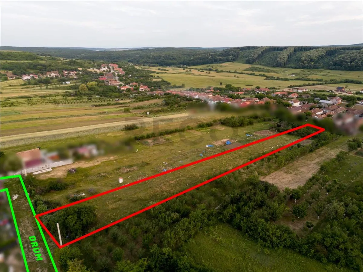 RECO Teren intravilan de vanzare Betfia, Bihor - 3000 mp, front stradal 20 m - foto 1