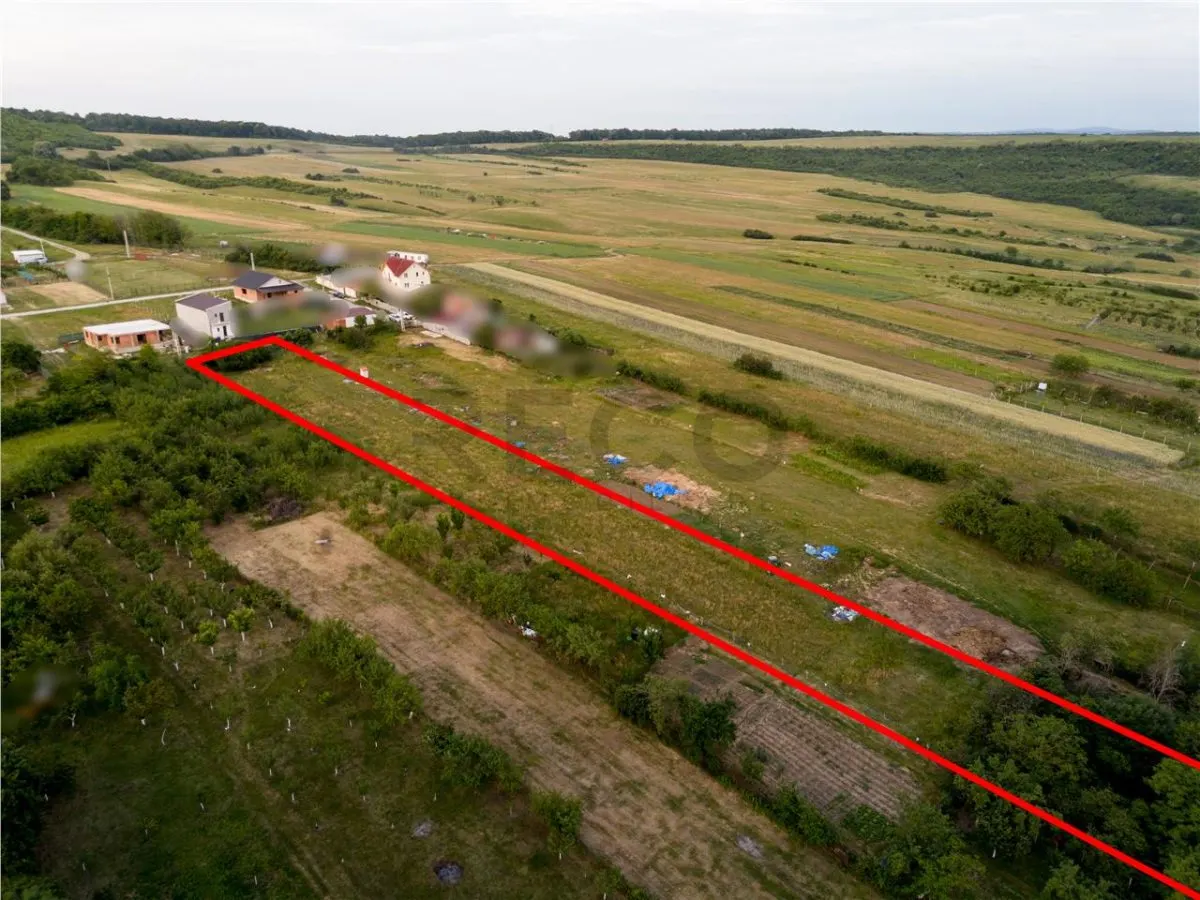 RECO Teren intravilan de vanzare Betfia, Bihor - 3000 mp, front stradal 20 m - foto 6