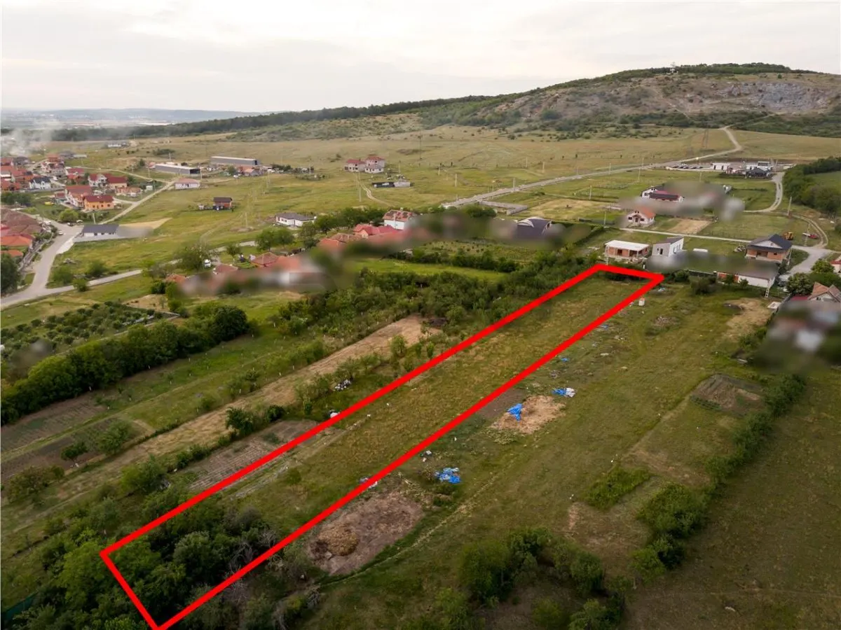 RECO Teren intravilan de vanzare Betfia, Bihor - 3000 mp, front stradal 20 m - foto 7