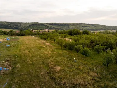 RECO Teren intravilan de vanzare Betfia, Bihor - 3000 mp, front stradal 20 m - foto 9