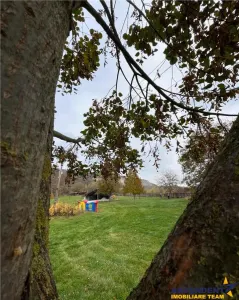 Transilvania Camping,domeniu de 14.400mp,Sanmarghita de Mures:2cladiri,apartamente,potential exceptional - foto 26