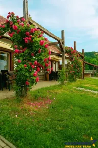 Transilvania Camping,domeniu de 14.400mp,Sanmarghita de Mures:2cladiri,apartamente,potential exceptional - foto 28