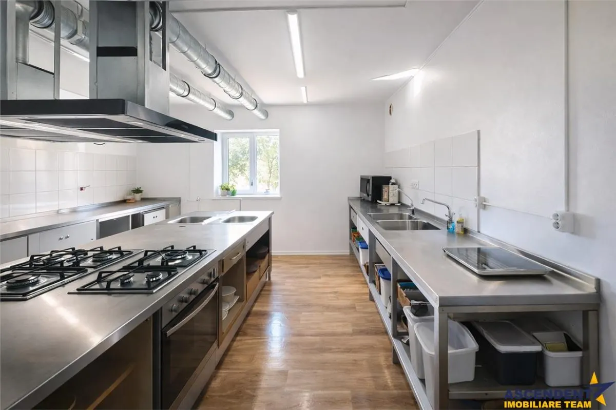 Transilvania Camping, domeniu de 14.400mp,Sanmarghita de Mures:2cladiri, apartamente,potential exceptional - foto 7