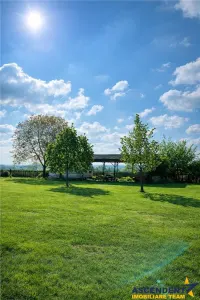 Transilvania Camping, domeniu de 14.400mp,Sanmarghita de Mures:2cladiri, apartamente,potential exceptional - foto 6