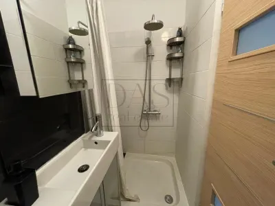 Apartament 2 camere | Sala Palatului | Ion Campineanu - foto 11