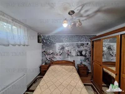 Vila eleganta - Str Grivitei - vanzare - Braila - foto 9