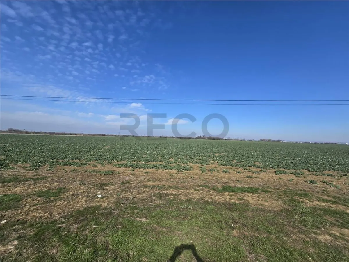 RECO Teren in Nojorid - foto 3