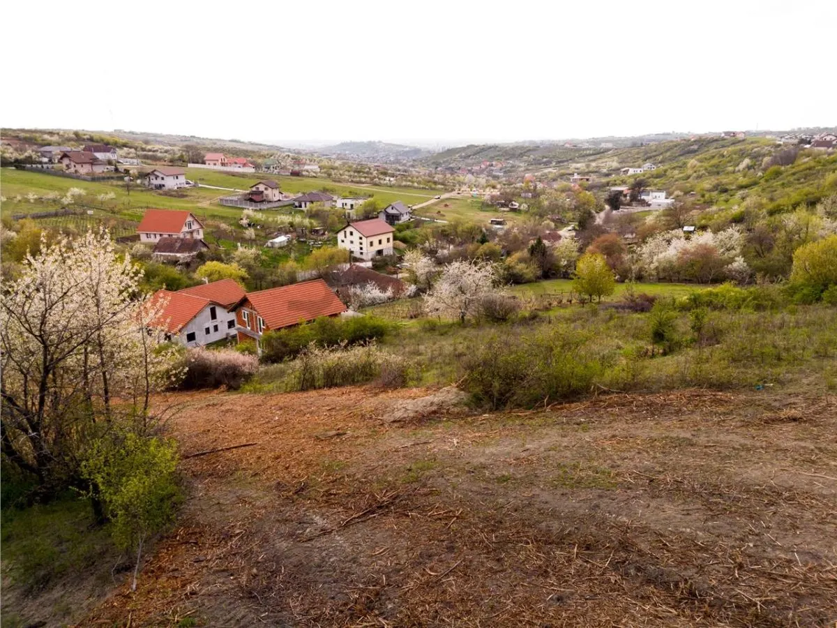 RECO Teren intravilan in Oradea 2086mp - foto 1