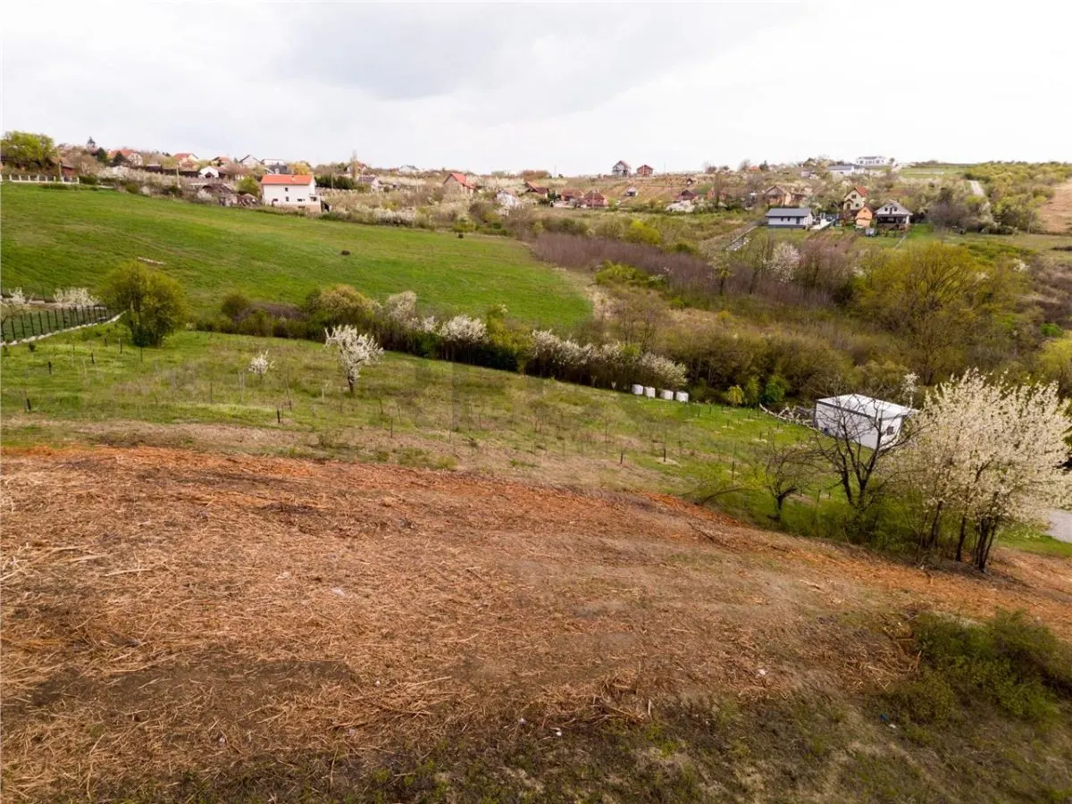 RECO Teren intravilan in Oradea 2086mp - foto 2