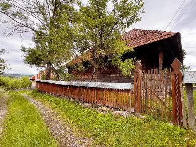 Gospodarie traditionala maramureseana pe 53 ari teren, sat Breb - foto 19
