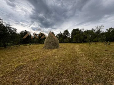 Gospodarie traditionala maramureseana pe 53 ari teren, sat Breb - foto 4