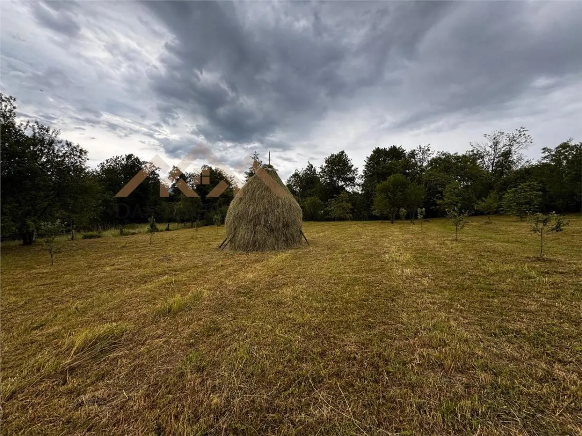 Gospodarie traditionala maramureseana pe 53 ari teren, sat Breb - foto 4