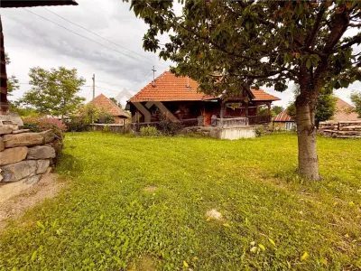 Gospodarie traditionala maramureseana pe 53 ari teren, sat Breb - foto 10