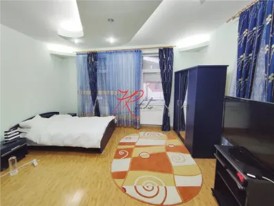 Inchiriere vila zona Stefan cel mare - Tunari - Bucuresti