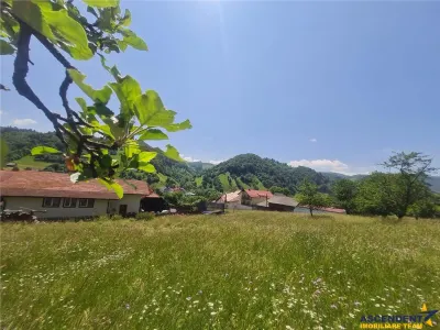 Deschidere spre crestele alpine+ documentatie turistica,4.400 mp de inspiratie naturala - foto 15