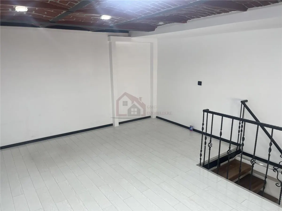 Spatiu Comercial zona CAROL-ARMENEASCA - foto 4