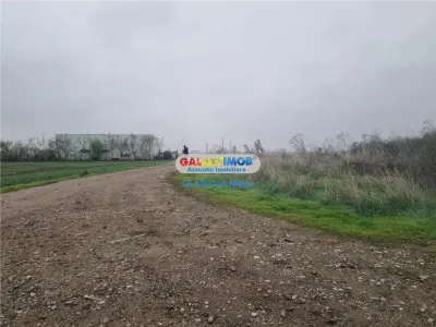 Vanzare teren 10000 mp Pantelimon Acumulatorul A 0!! - Pantelimon