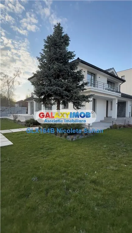 VANZARE CASA IANCU NICOLAE PADURE TEREN 1000 MP - foto 3