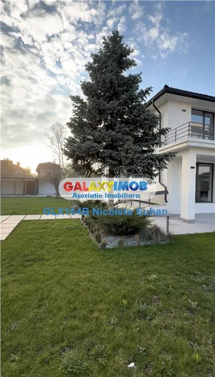 VANZARE CASA IANCU NICOLAE PADURE TEREN 1000 MP - foto 4