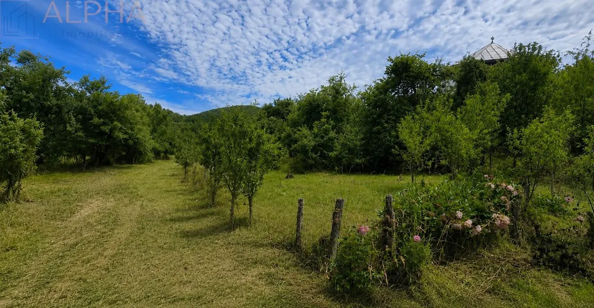 CASA CU TEREN GENEROS IN HERINA, BN – OPORTUNITATE DE INVESTITIE TURISTICA SAU REZIDENTIALA - foto 13