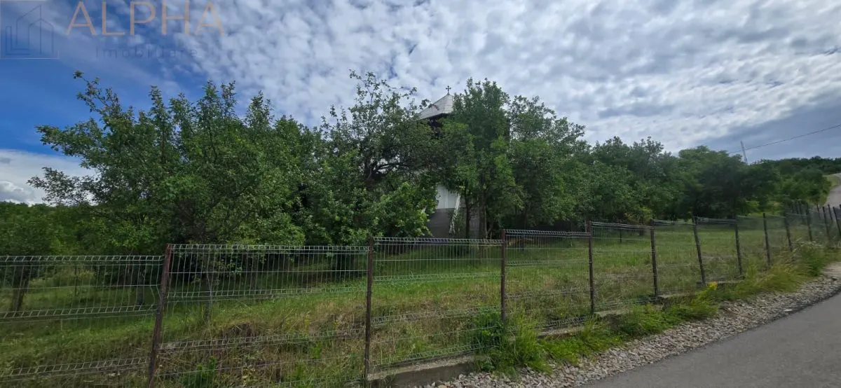 CASA CU TEREN GENEROS IN HERINA, BN – OPORTUNITATE DE INVESTITIE TURISTICA SAU REZIDENTIALA - foto 15