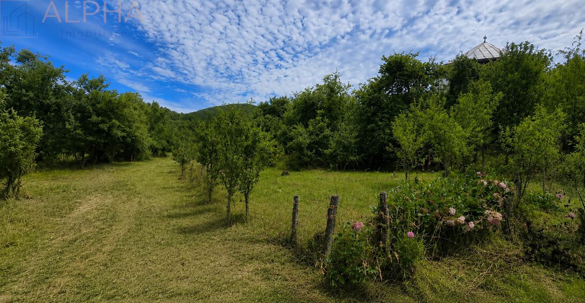 CASA CU TEREN GENEROS IN HERINA, BN – OPORTUNITATE DE INVESTITIE TURISTICA SAU REZIDENTIALA - foto 17